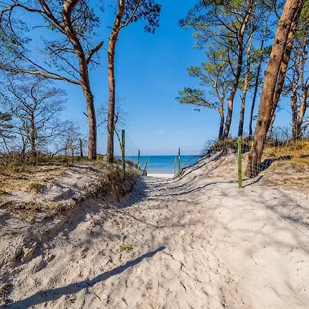 Przy Wydmie * Грзибово